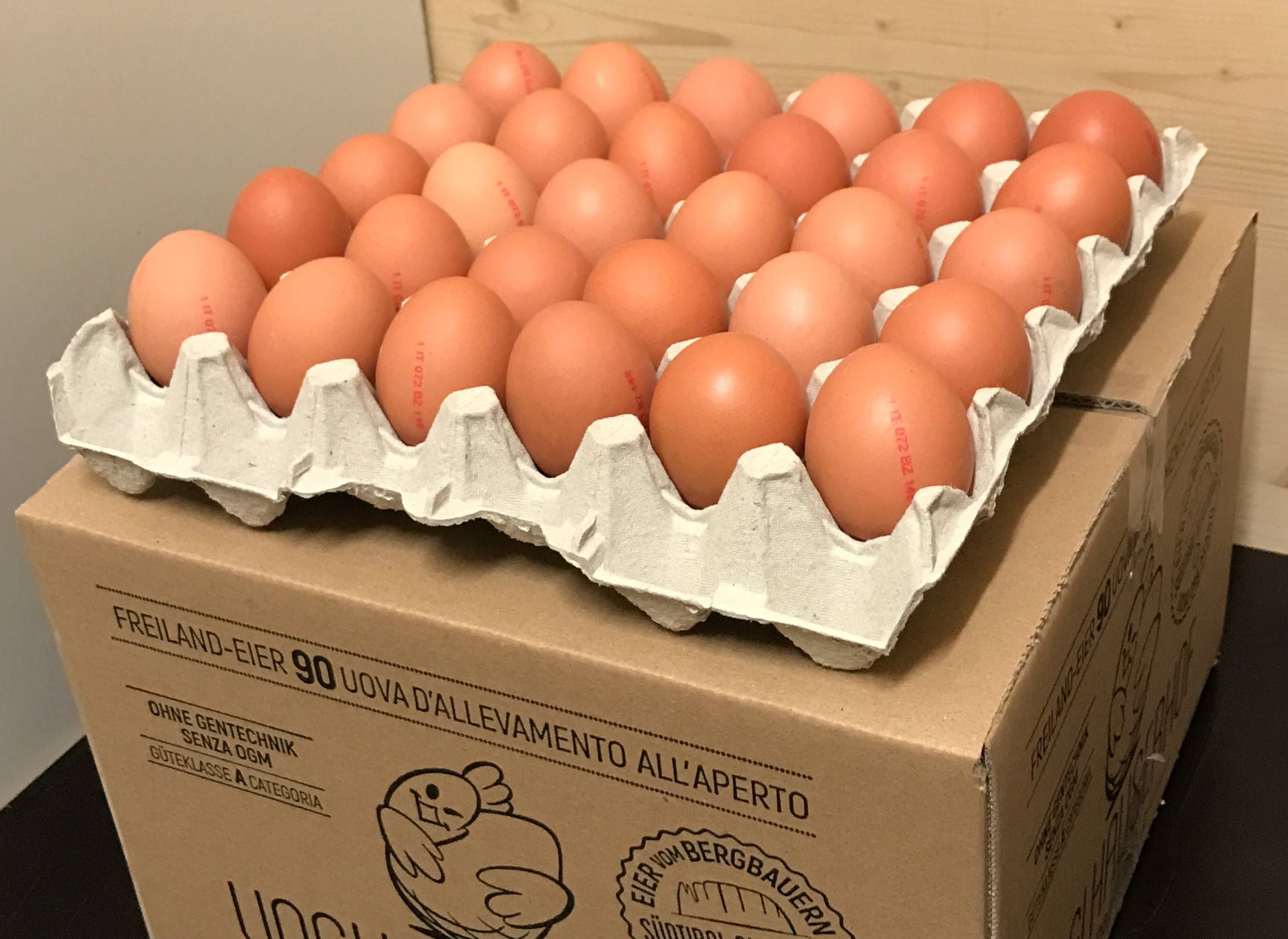 Freilandhühner vor Schlern Südtirol